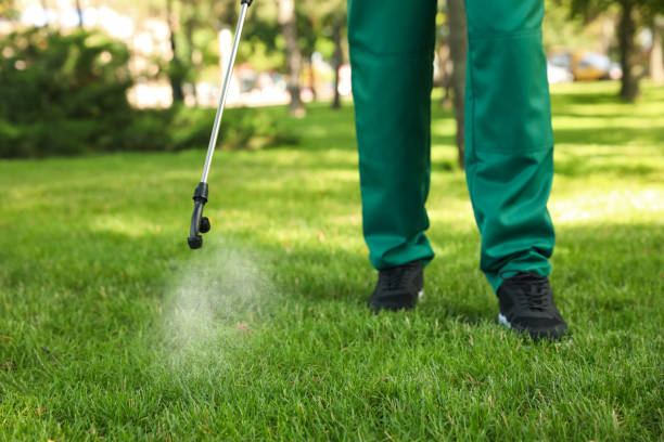Reliable Chauvin, LA Pest Control Solutions