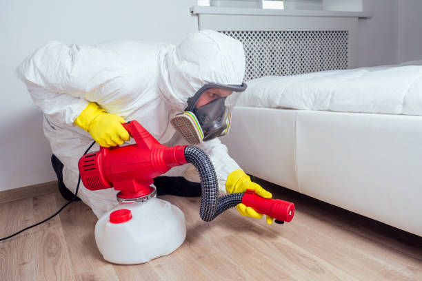 Best Ant Control Services  in Chauvin, LA